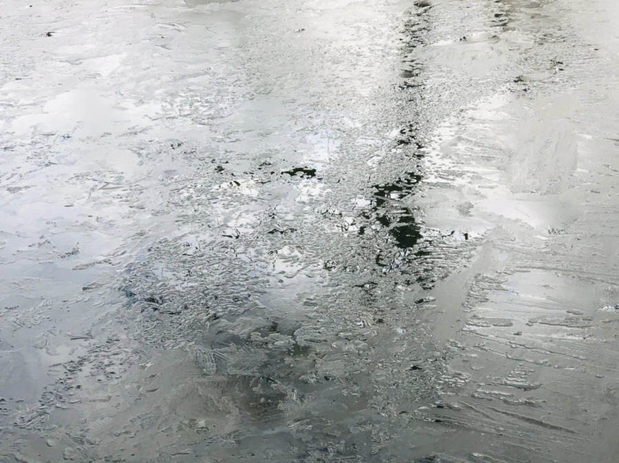 IMG_0178.jpg?type=w966