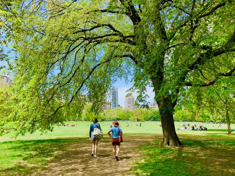 IMG_8777.jpg?type=w966