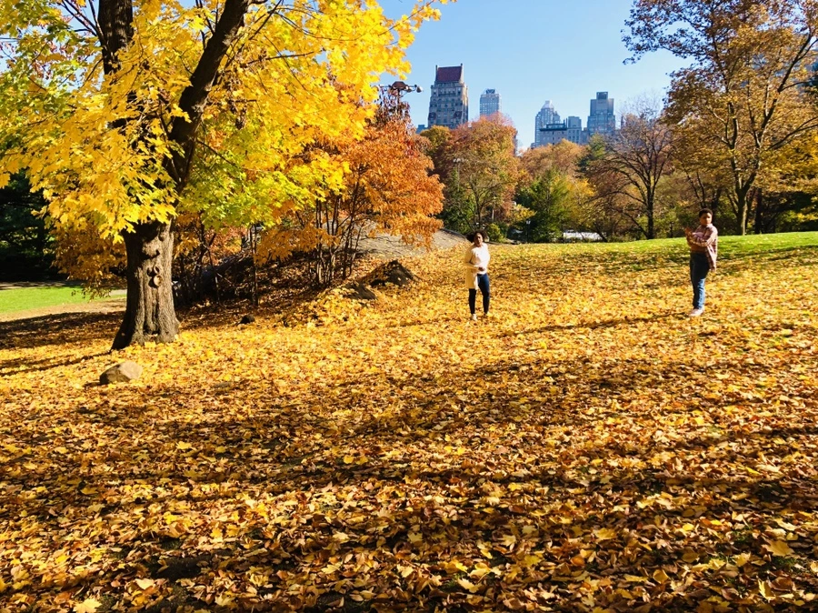 IMG_4241.jpg?type=w966