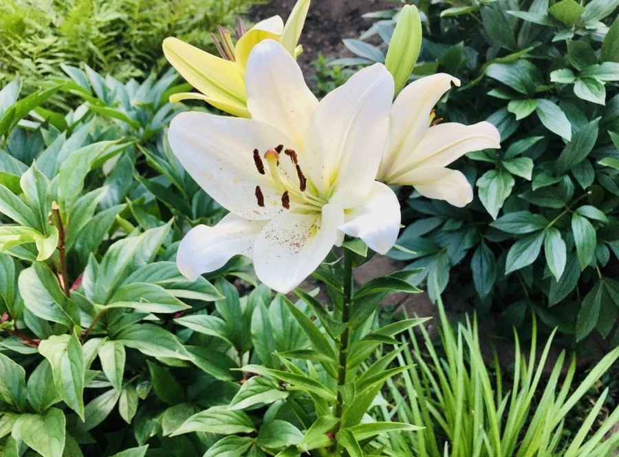 DZ5L6Fa-3KIHrqR1WP5aeNeIdQw