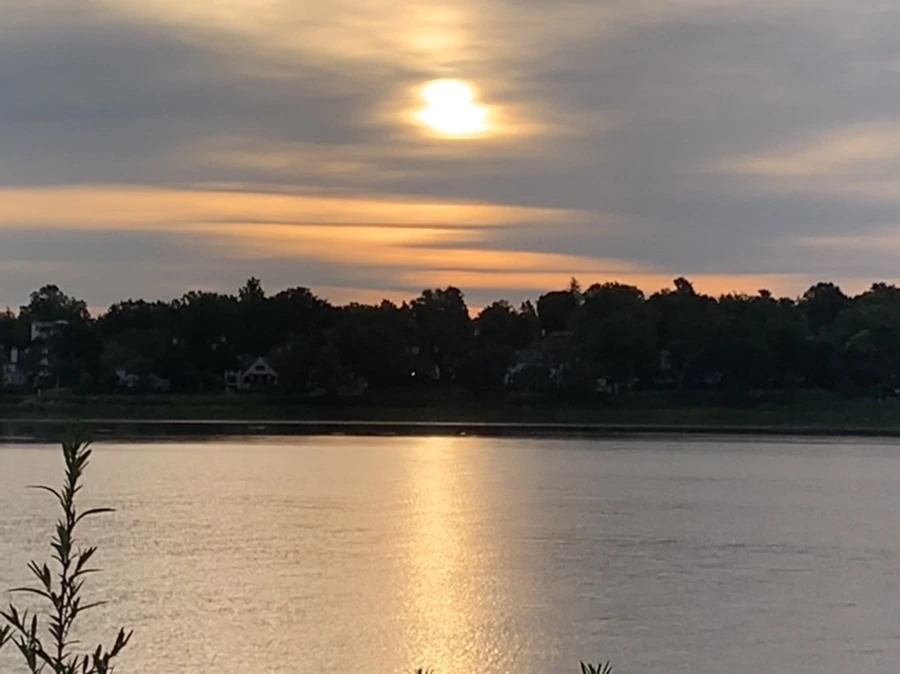 IMG_5973.jpg?type=w966