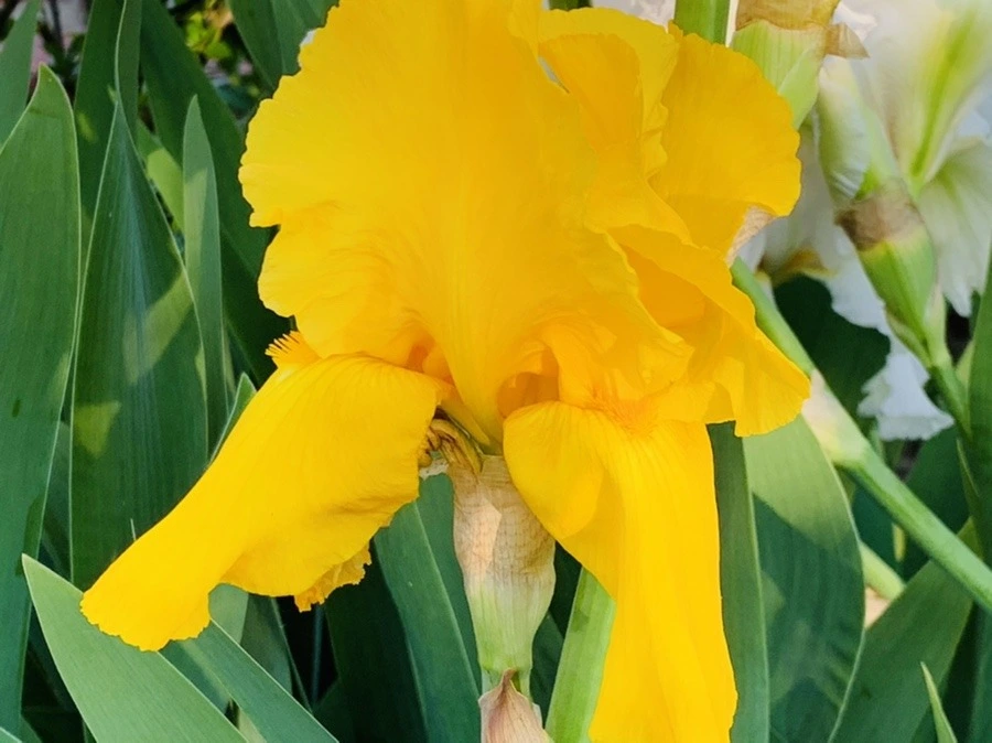 _iknFEzOGtpdmnka56pXLZoS5lI