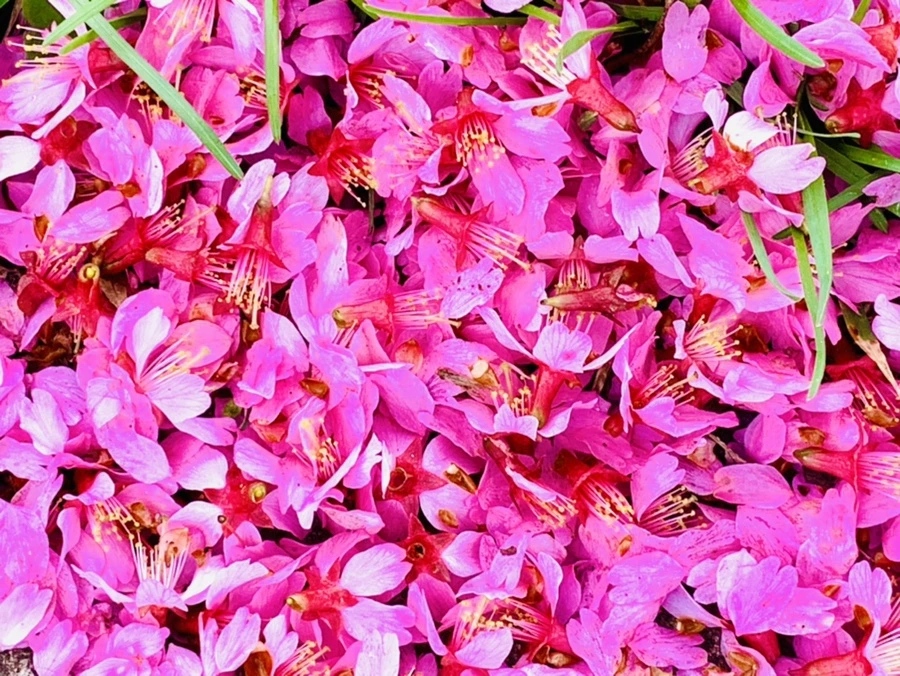 IMG_6274.jpg?type=w966