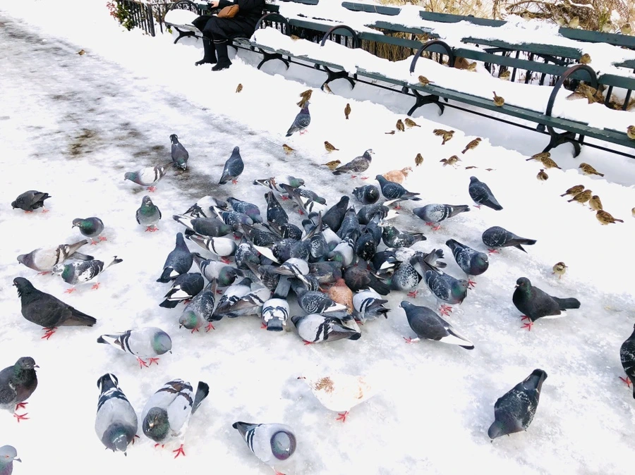 IMG_7251.jpg?type=w966