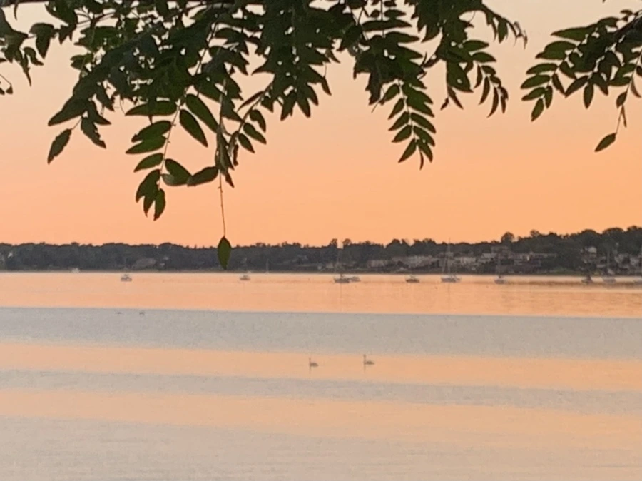 IMG_7519.jpg?type=w966