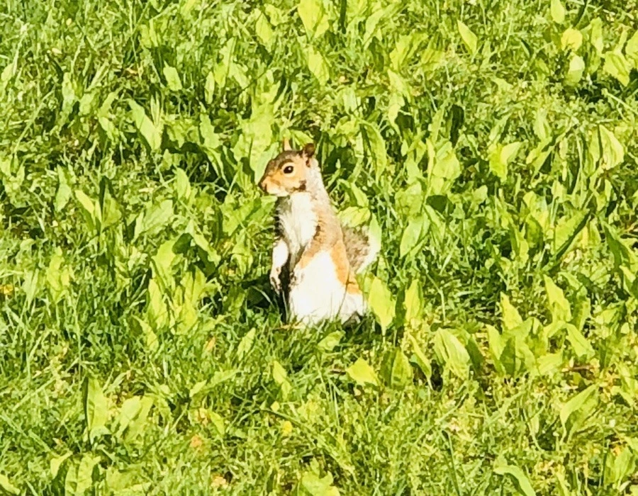 VLJ1Zv0ndmwgqoyQv1NrbKXqK6w