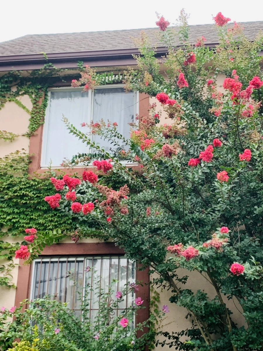 IMG_5939.jpg?type=w966