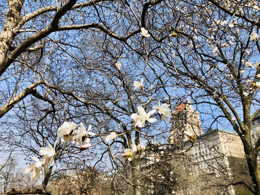 IMG_6490.jpg?type=w966