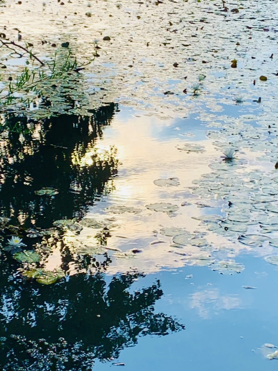 IMG_5860.jpg?type=w966