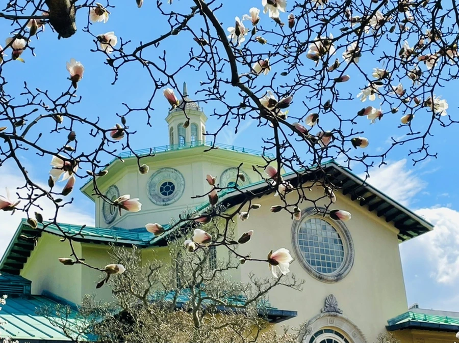 IMG_7059.jpg?type=w966