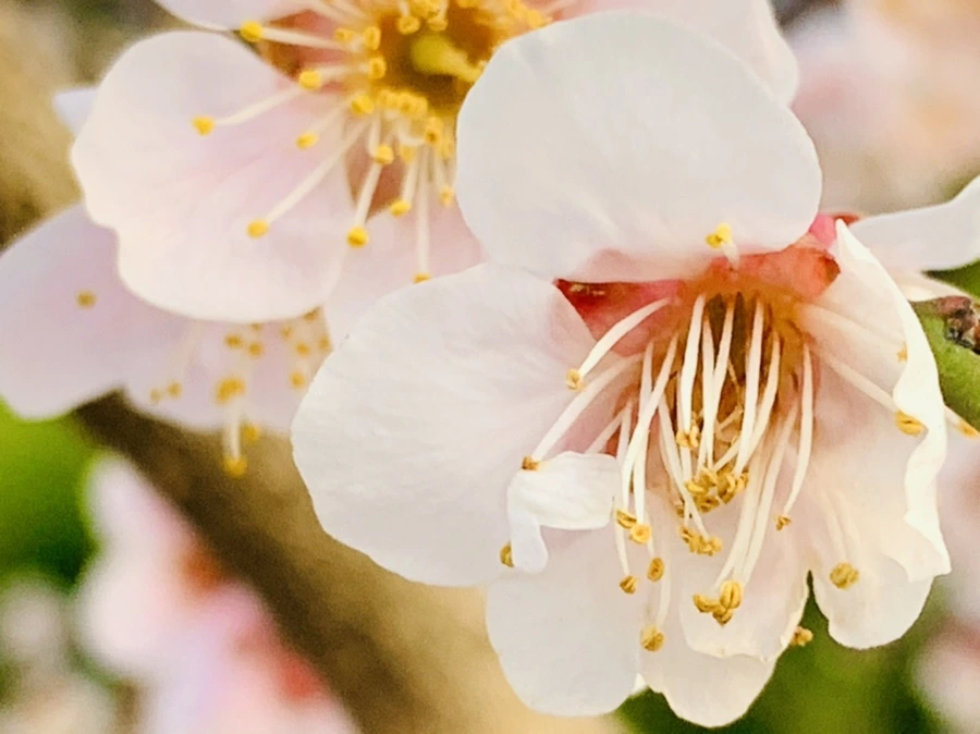 IMG_2798.jpg?type=w966