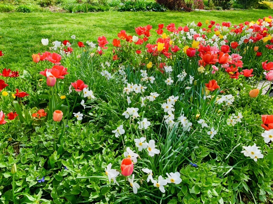 IMG_6908.jpg?type=w966