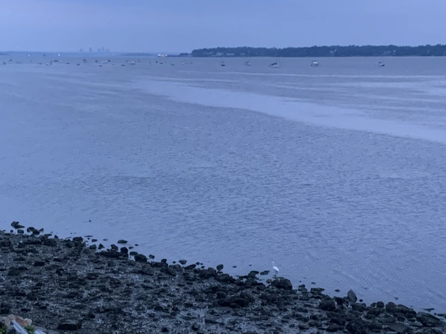 IMG_0687.jpg?type=w966