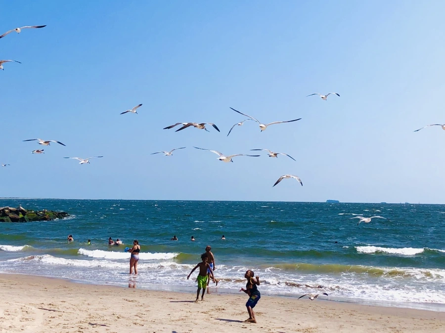 IMG_7249.jpg?type=w966