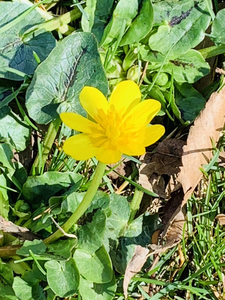 IMG_4542.jpg?type=w966