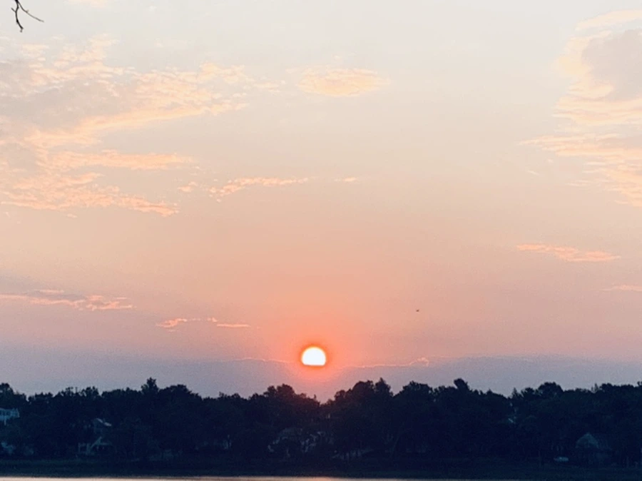 IMG_4663.jpg?type=w966