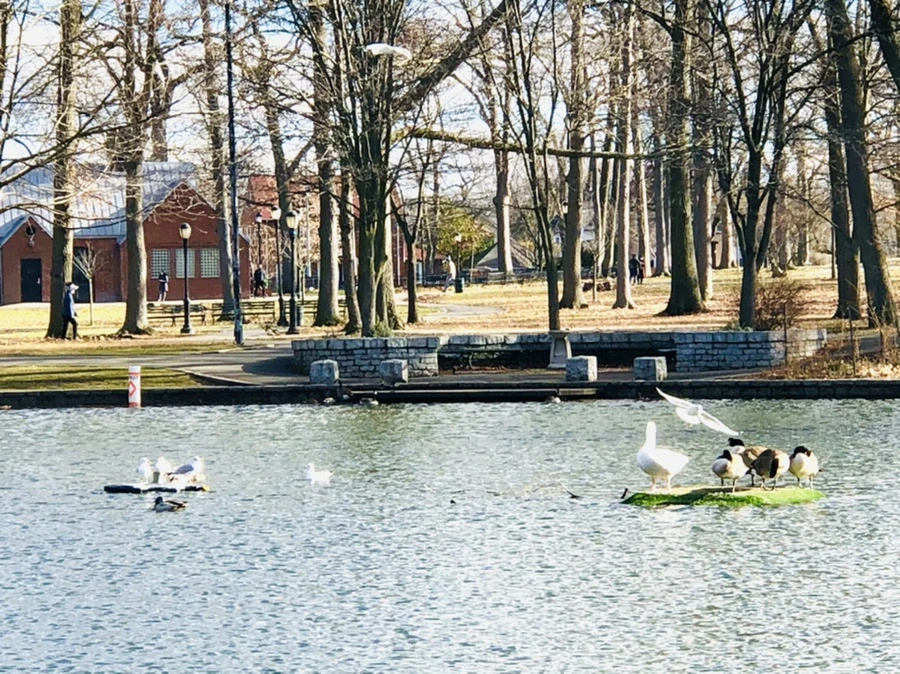 IMG_9236.jpg?type=w966