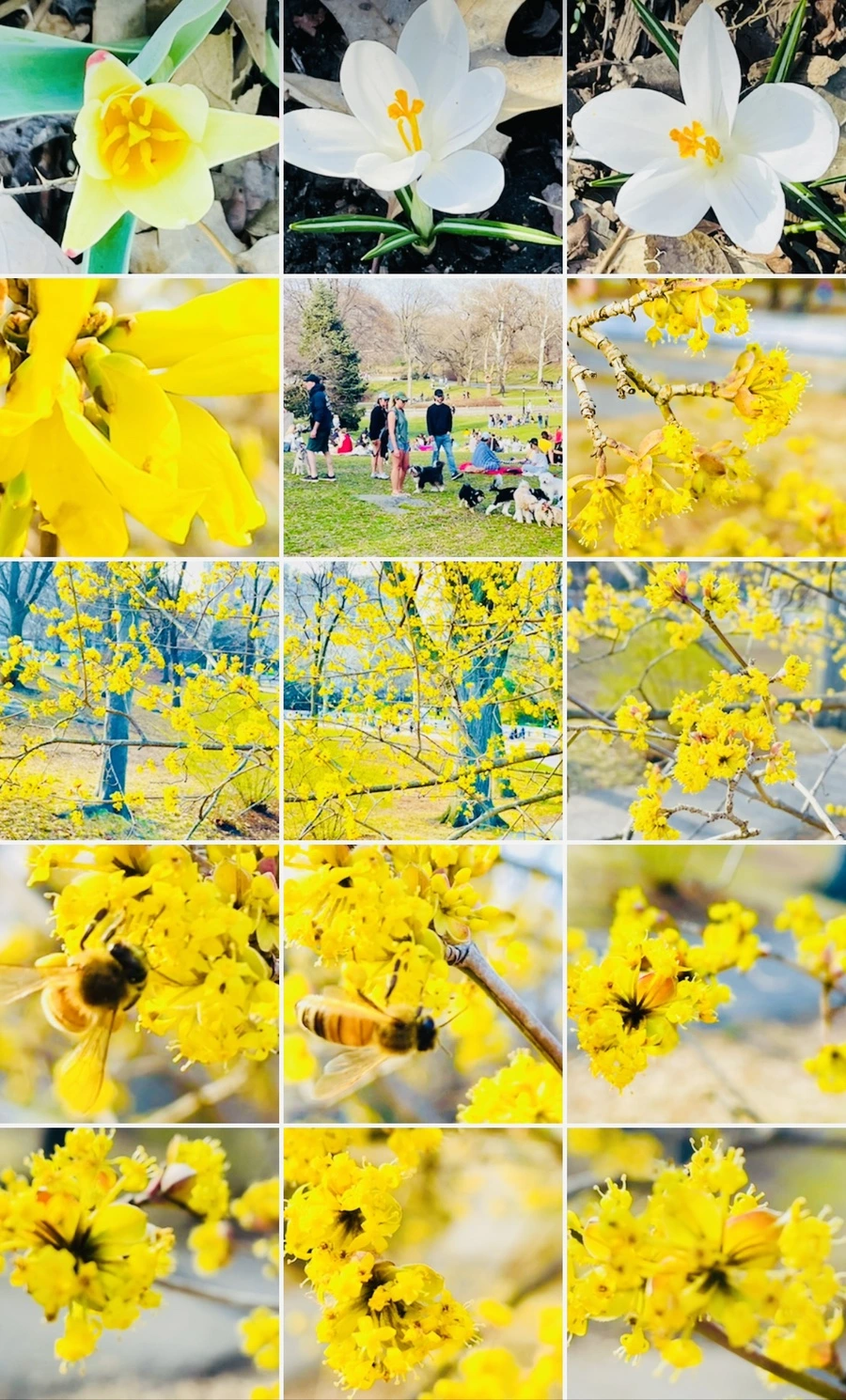 IMG_6047.jpg?type=w966