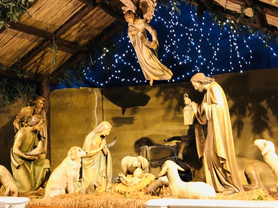 IMG_2910.jpg?type=w966