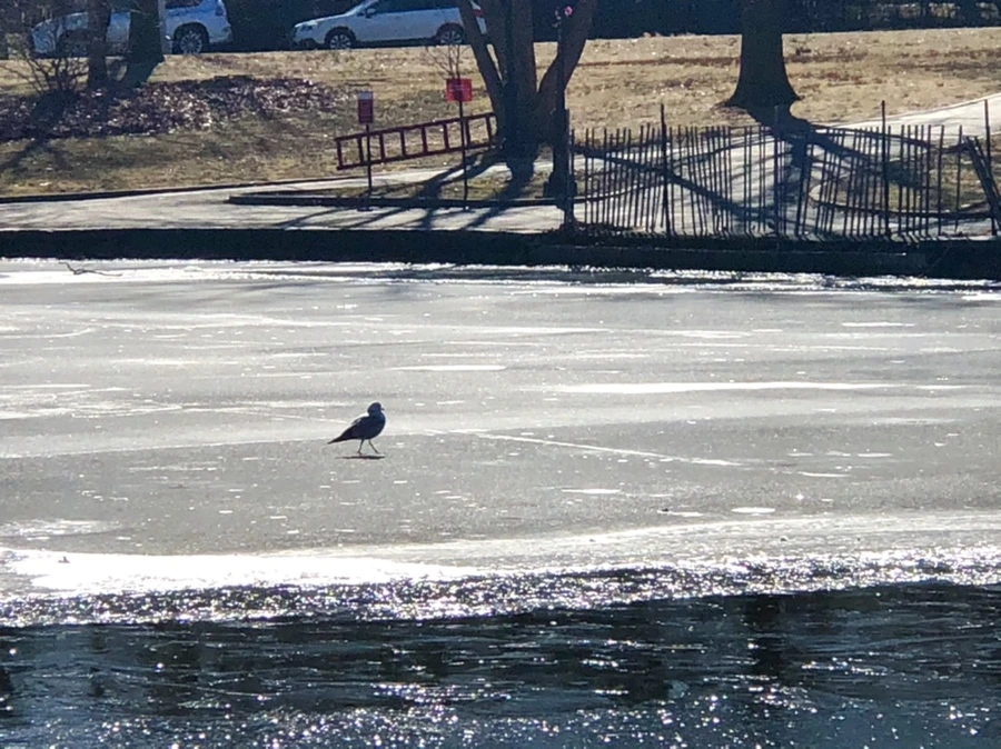 IMG_7798.jpg?type=w966