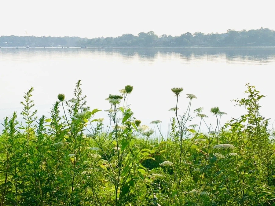 6na6MqPCnivNq8SRrV1K2pv5bm0