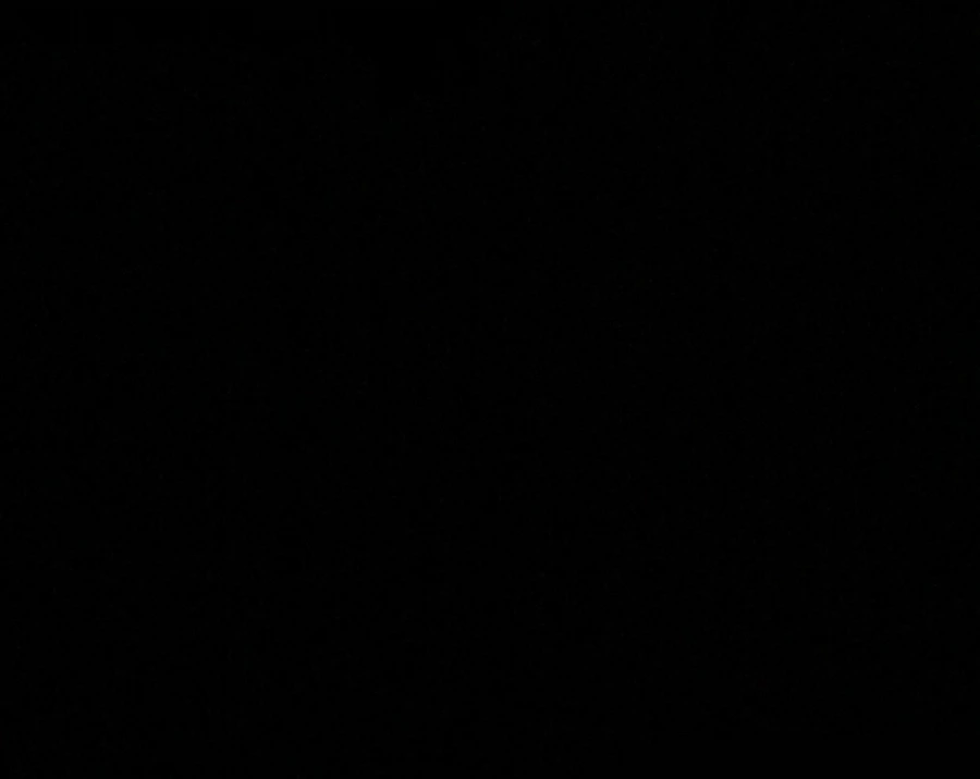 IMG_0157.jpg?type=w966