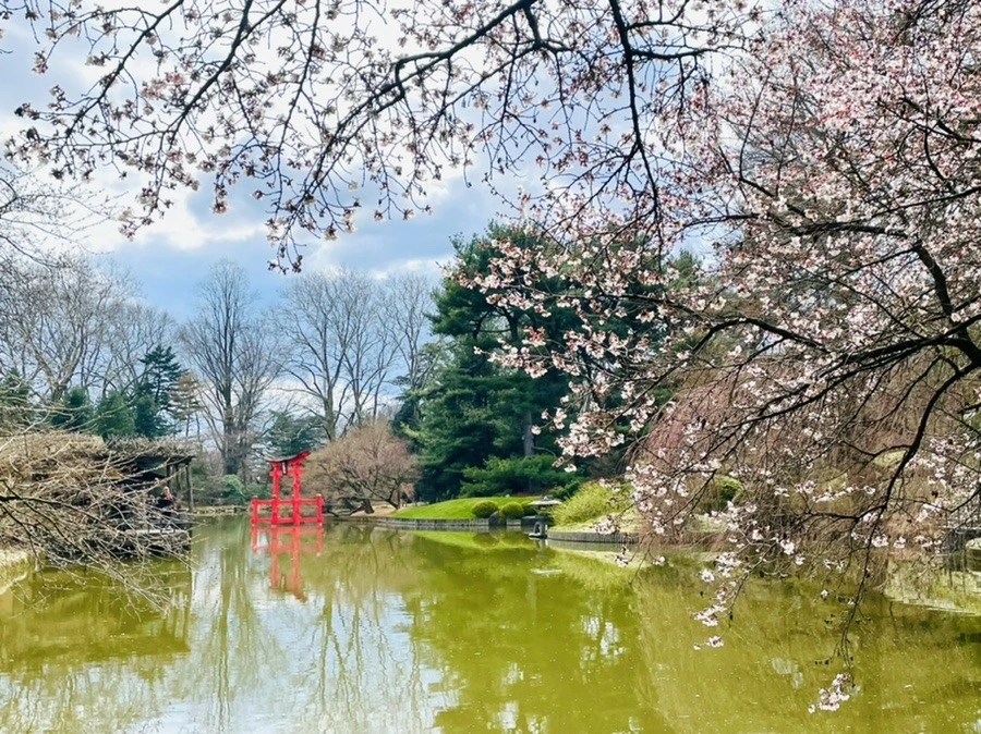 vaQIMvMOnkkY6dHKe0hMMg4Tzmw