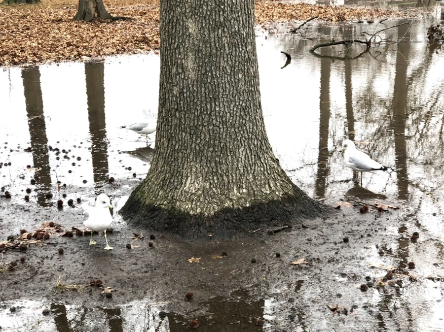 IMG_9419.jpg?type=w966