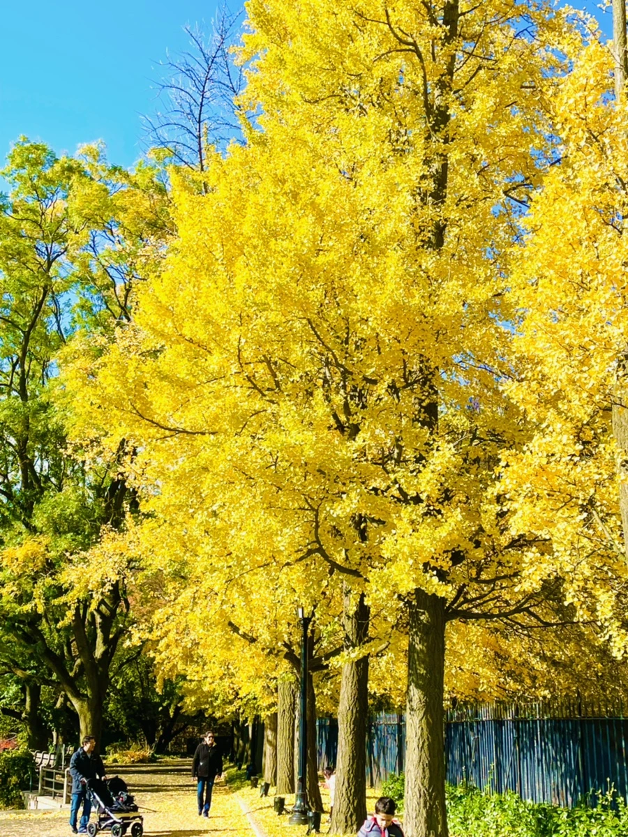 IMG_3028.jpg?type=w966