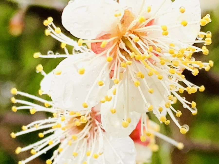 IMG_1970.jpg?type=w966