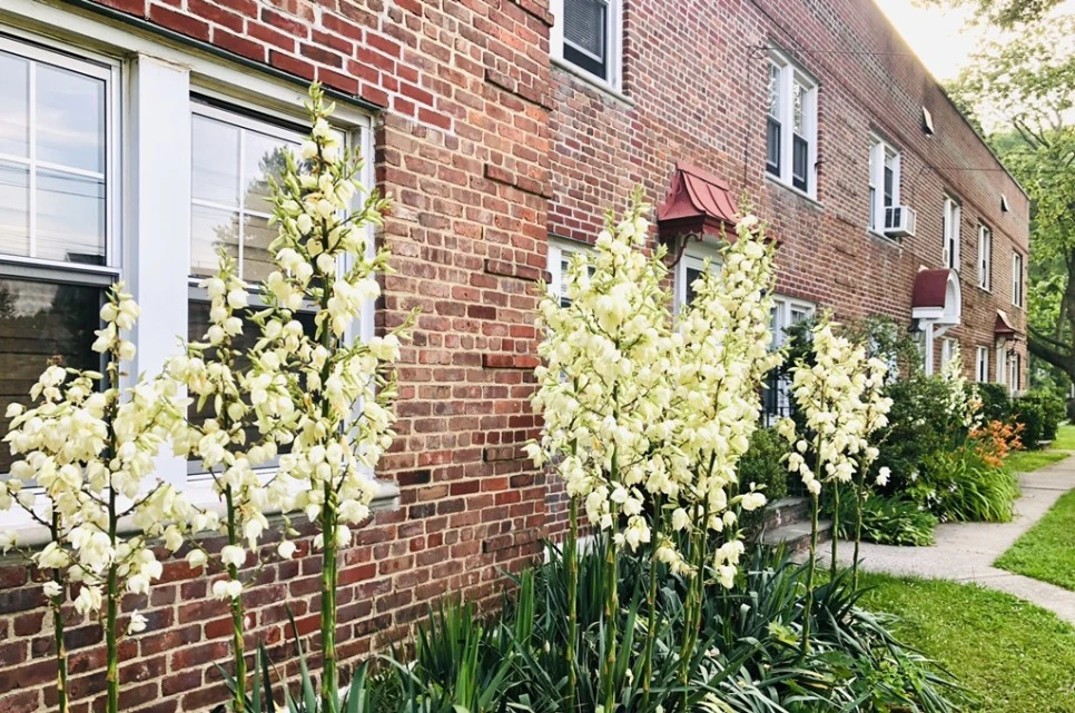 IMG_6820.jpg?type=w966