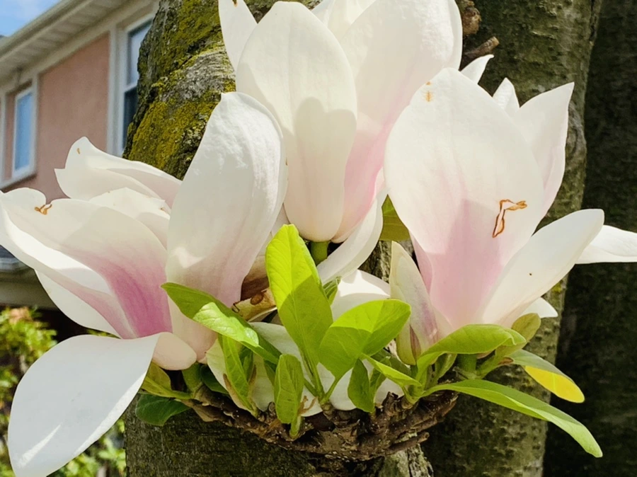 IMG_3878.jpg?type=w966