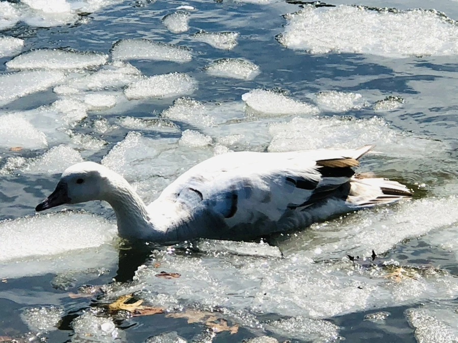 IMG_5416.jpg?type=w966