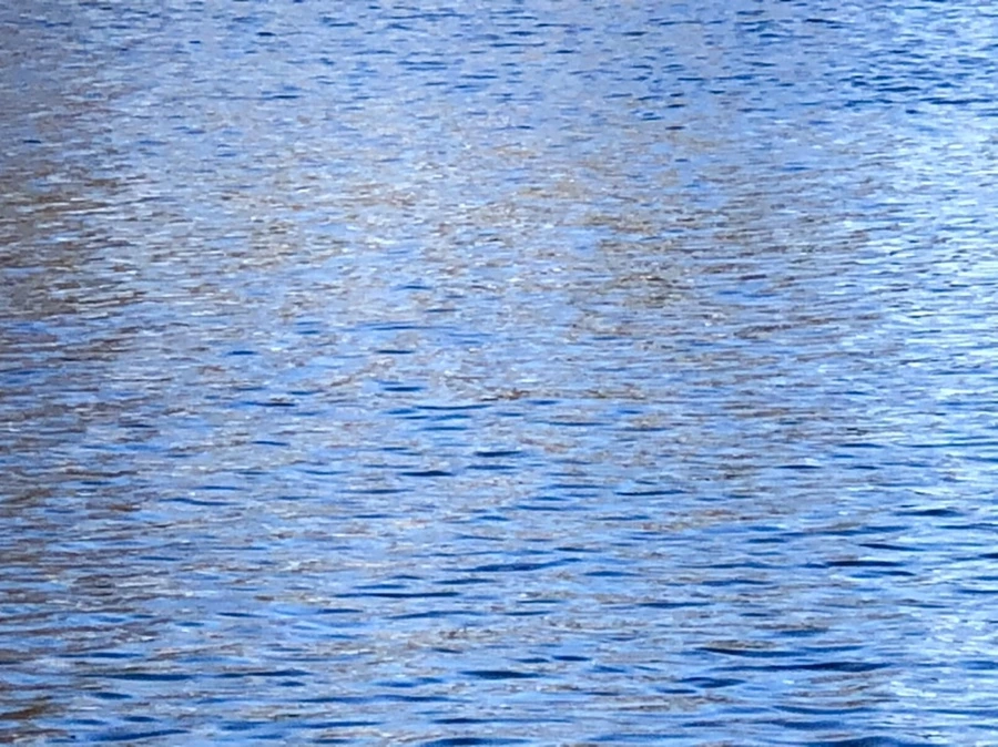 IMG_3766.jpg?type=w966