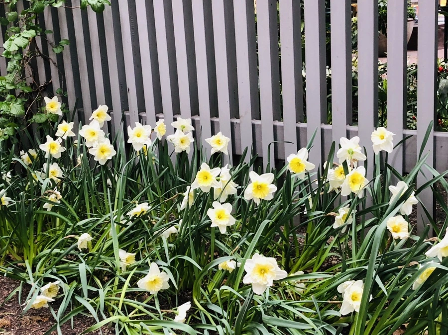 IMG_3064.jpg?type=w966