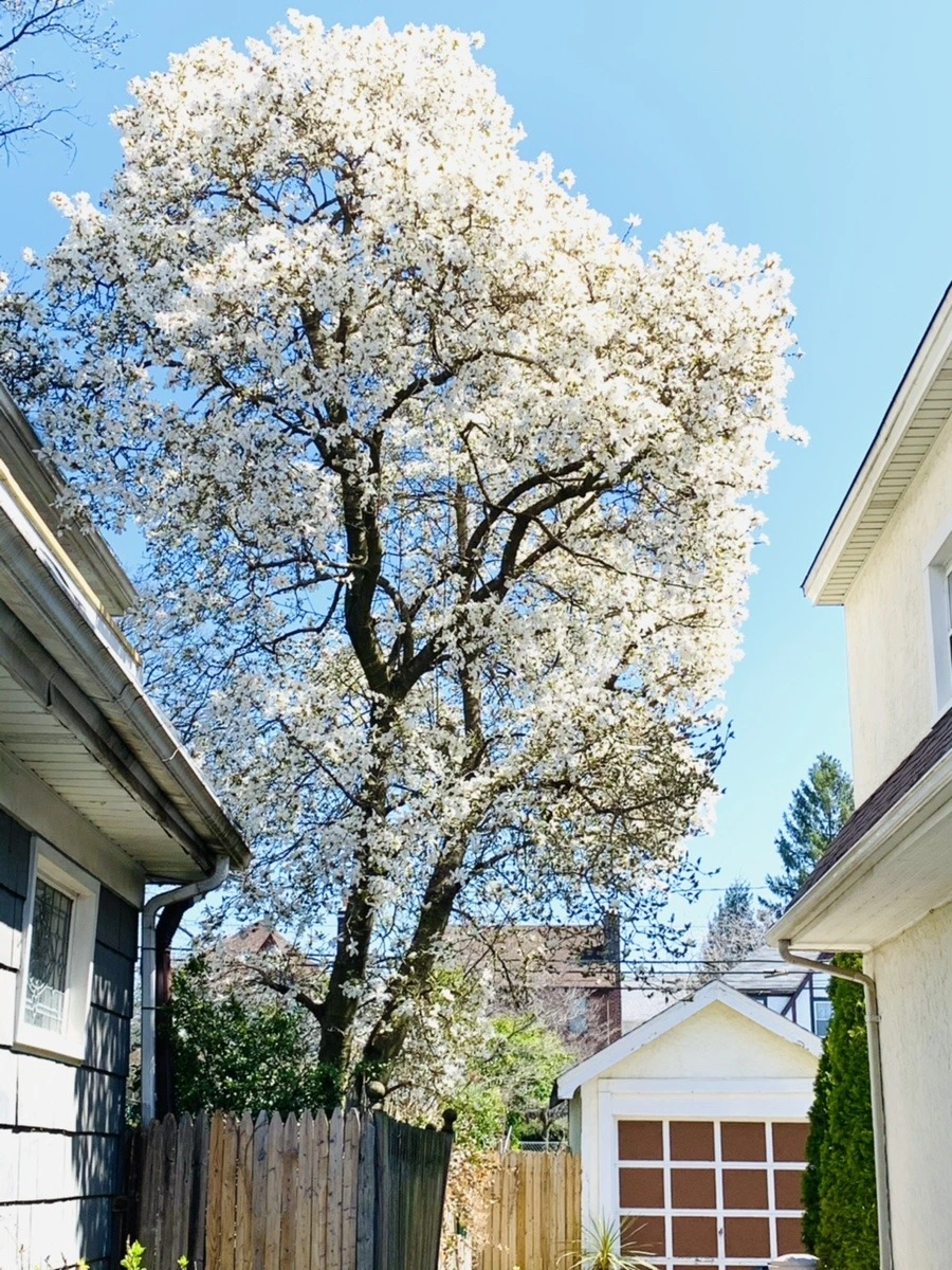 83GCODaKSKbDhlBQ451zJ6rnCus