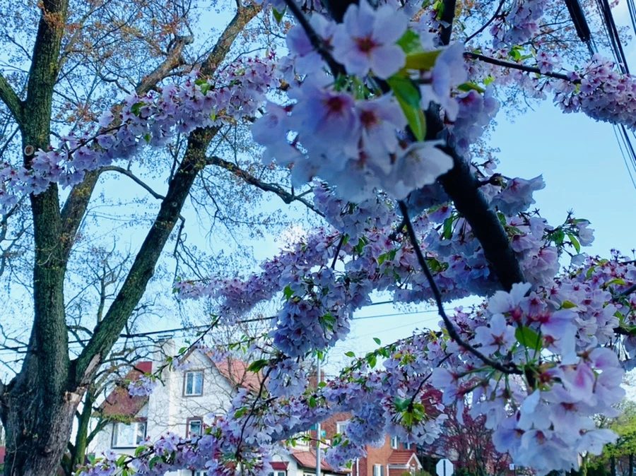 IMG_2634.jpg?type=w966