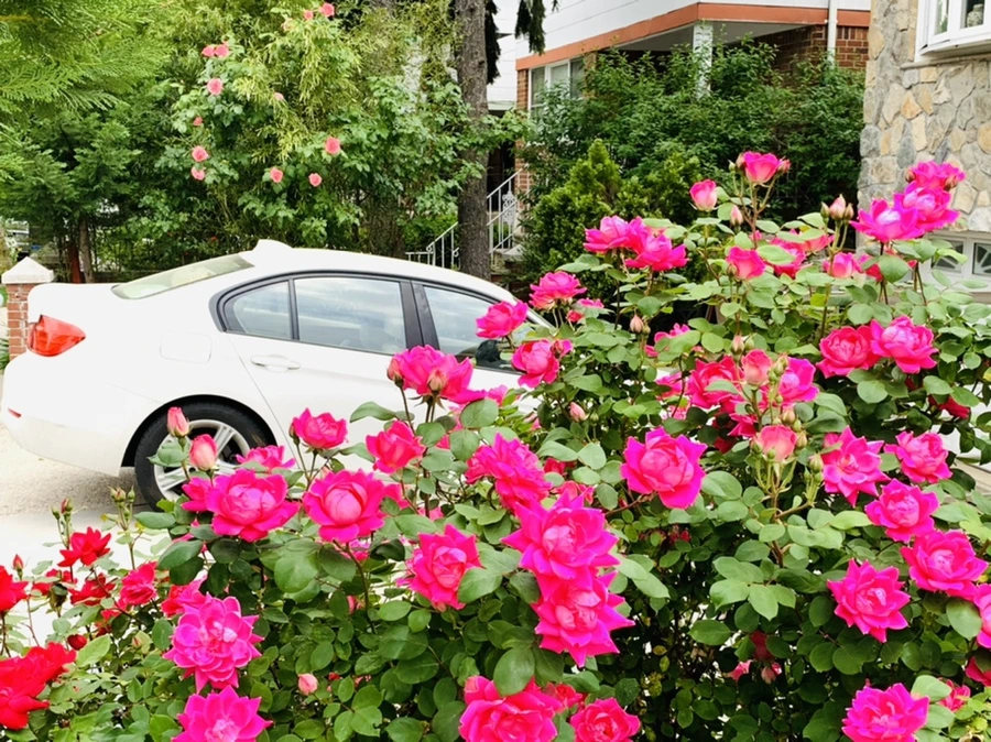 IMG_4787.jpg?type=w966