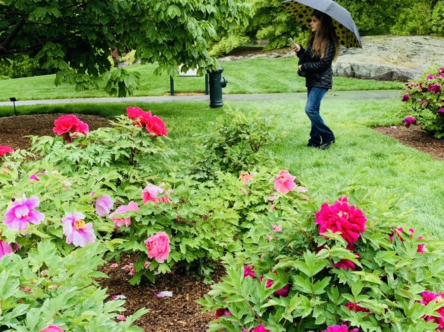 IMG_9974.jpg?type=w966