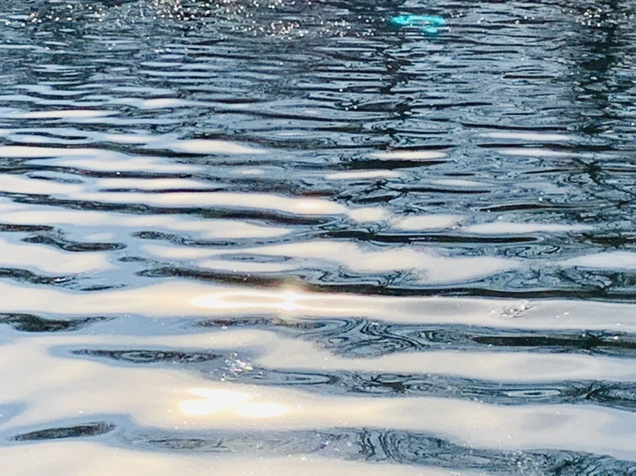 IMG_0379.jpg?type=w966