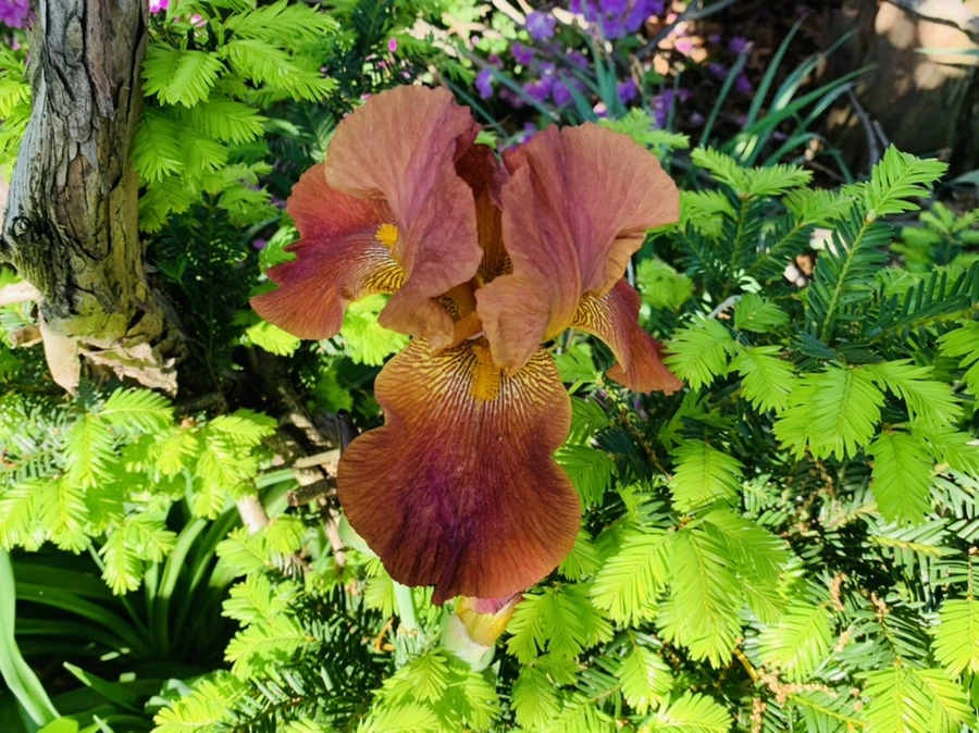 IMG_3552.jpg?type=w966