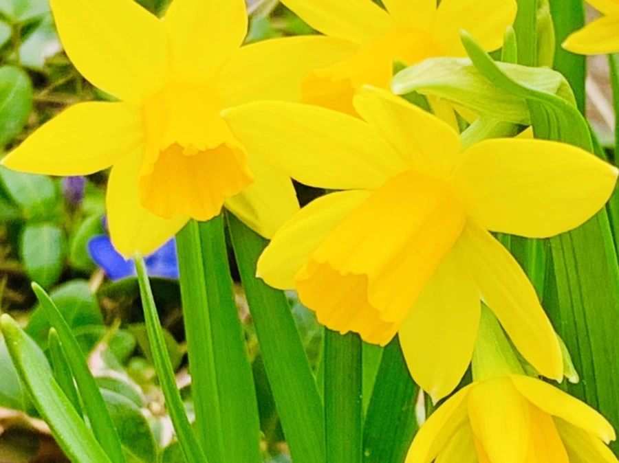 IMG_3489.jpg?type=w966