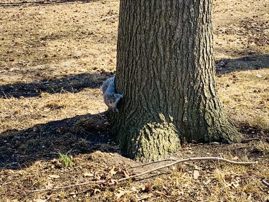 IMG_6938.jpg?type=w966