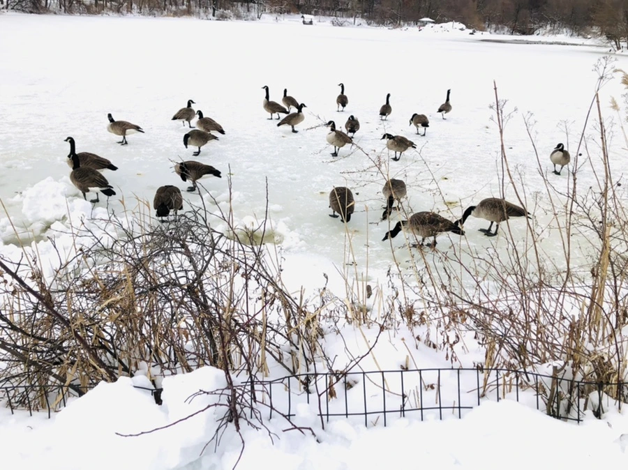 IMG_9487.jpg?type=w966