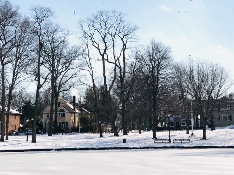 IMG_0298.jpg?type=w966