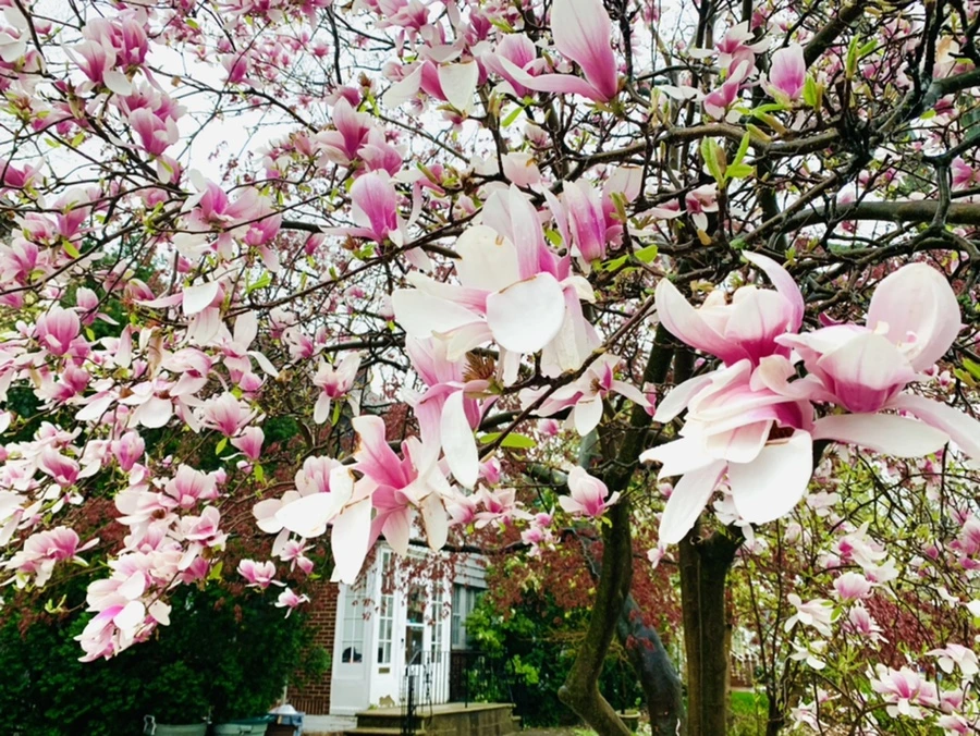 IMG_2343.jpg?type=w966