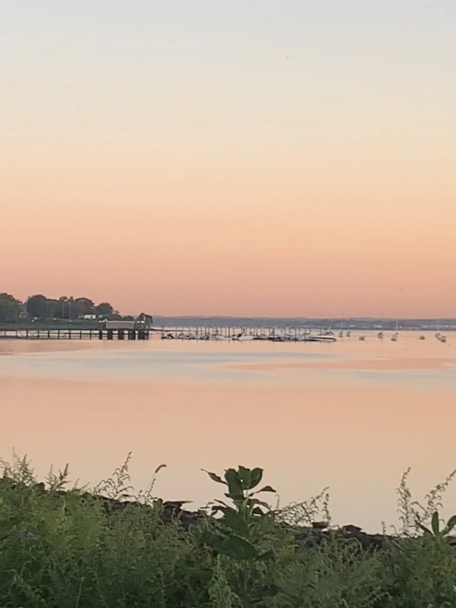 IMG_8554.jpg?type=w966