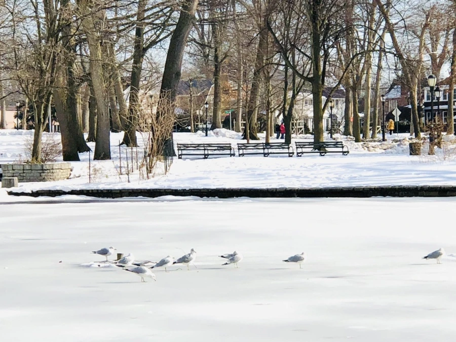 IMG_0174.jpg?type=w966