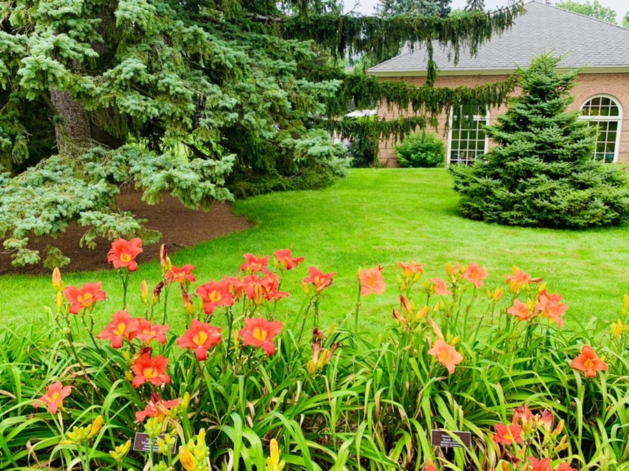 IMG_2598.jpg?type=w966