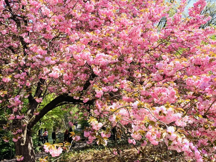 IMG_6399.jpg?type=w966